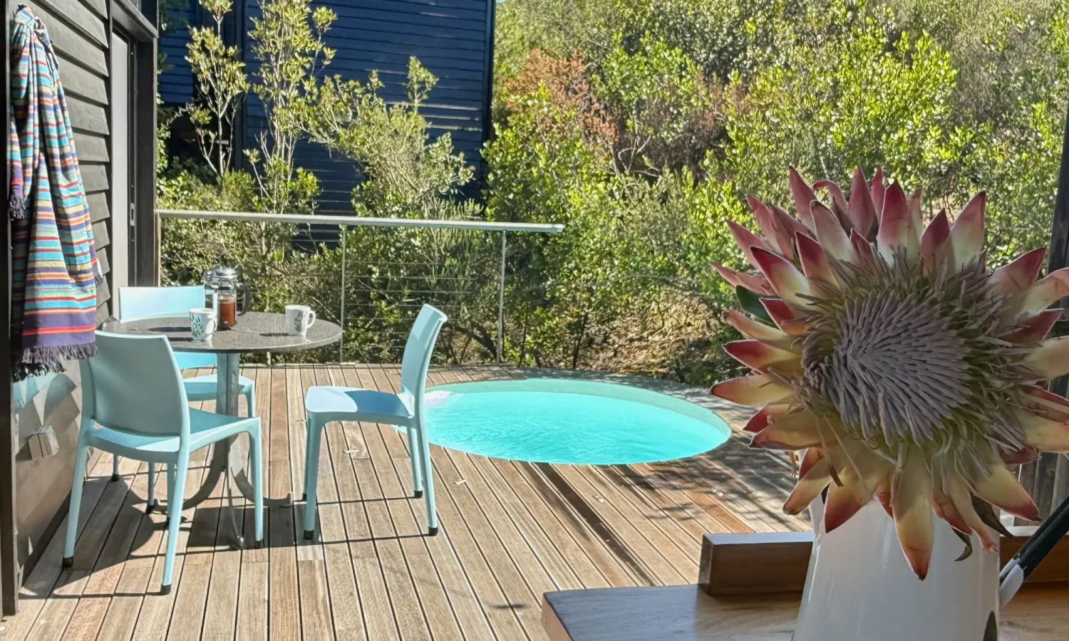 Heated splash pool and deck at The Cat's Whiskers luxury holiday house, Garden Route
